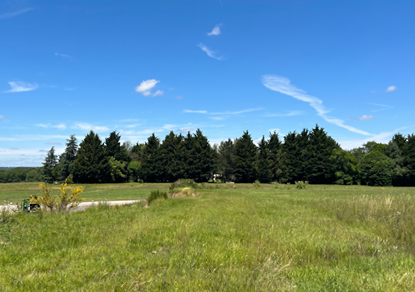 Enquête publique pour un projet de parc photovoltaïque au sol sur la commune de Blanzac (87)